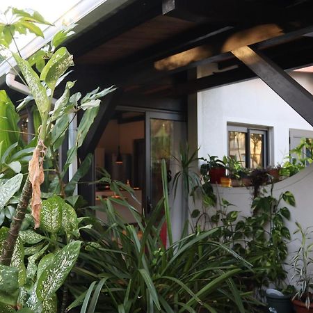 Pamplemousses Luxury Cosy Guesthouse מראה חיצוני תמונה